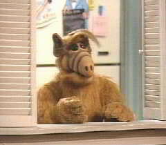 ALF
