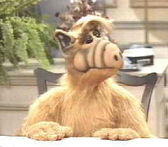 ALF