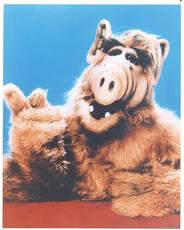 ALF Poster